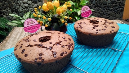 Jual Chocolate Chocochips Chiffon Cake